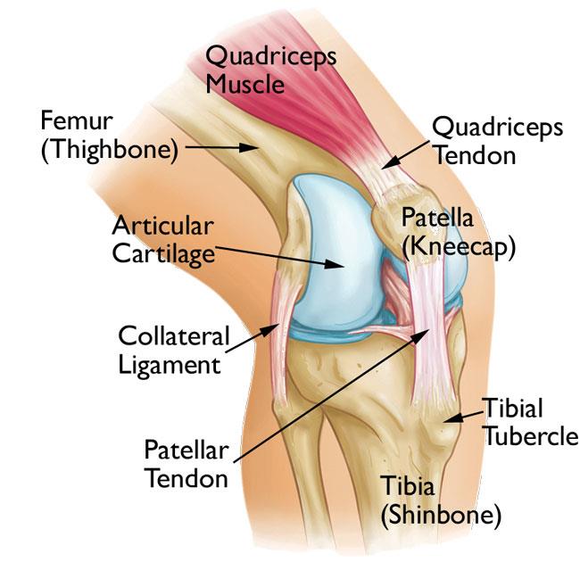 Patellofemoral Pain Syndrome: Symptoms, Causes and Evidenced Based Physiotherapy